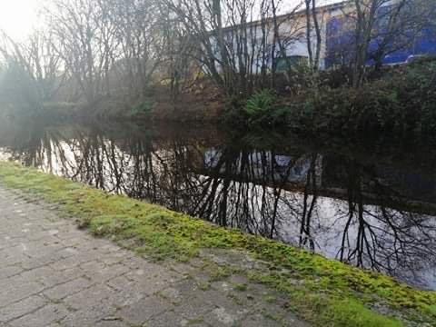 Lets Fish Event Canal and Rivers Trust